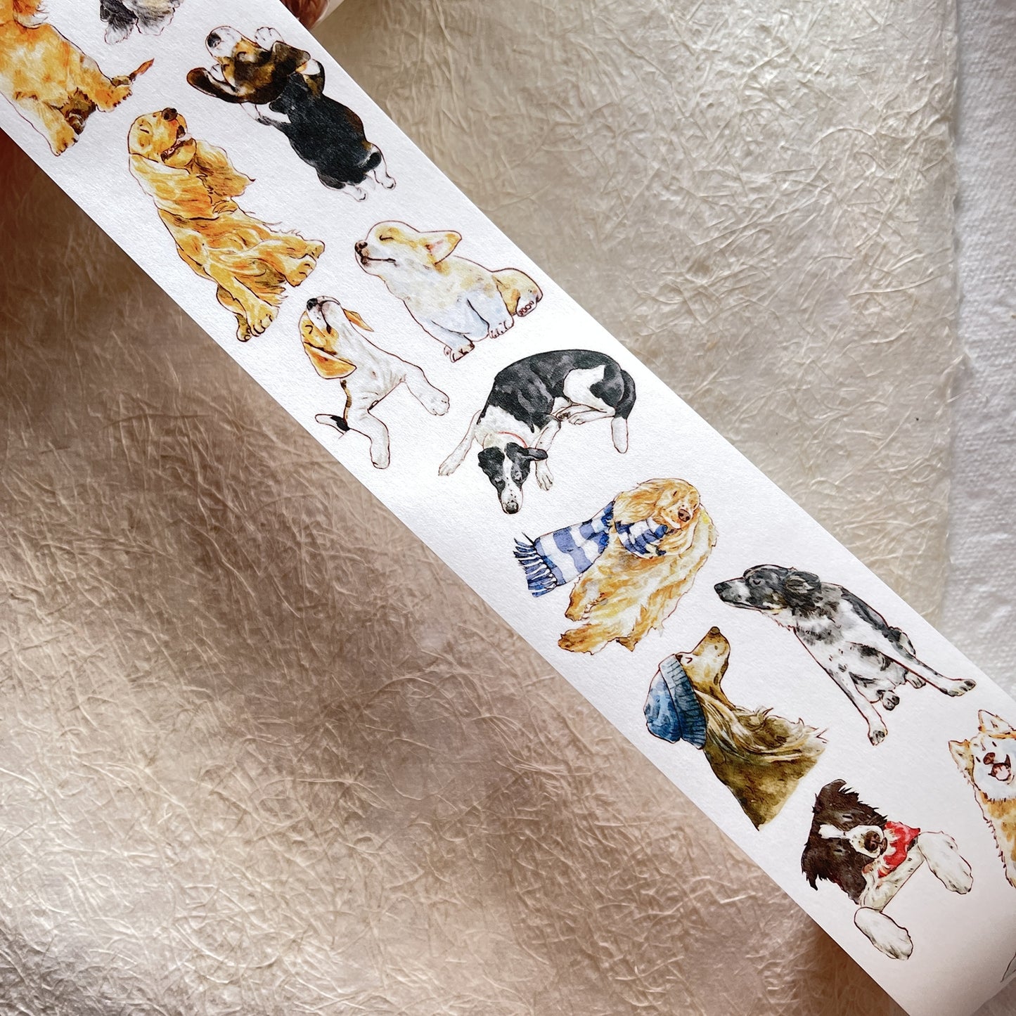 DingDing Vol7【22#Little Sweetheart】,My Cute Pet Dog,Kiss-Cut Washi PET Tape Stickers,2.36 in x 10.94 YD,Original Design,for Scrapbook Supplies,Scrapbook Tape Stickers