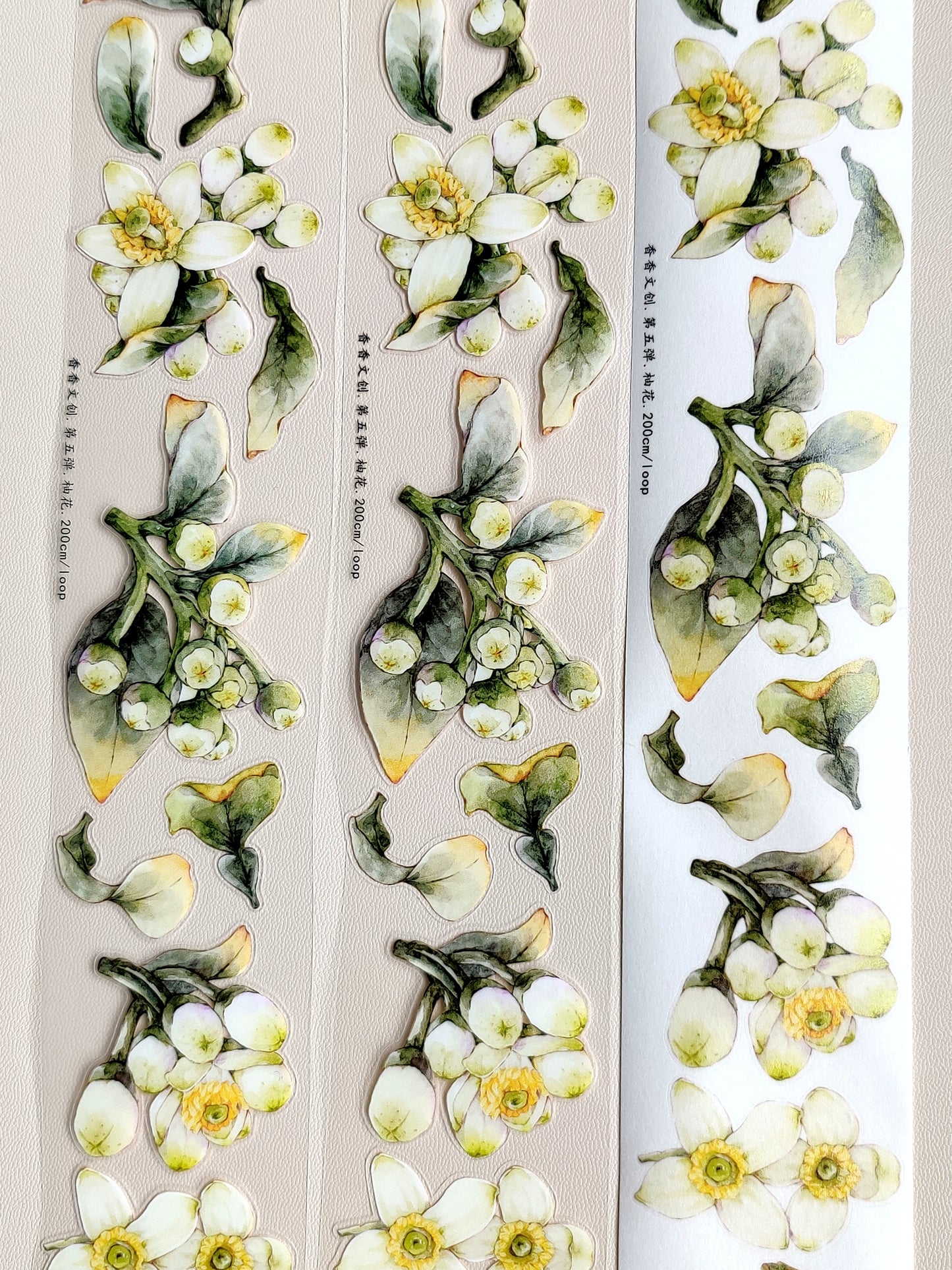 Xiangxiang Vol5【Pomelo Flower】Light Retro Character Scenery Orginal Design Washi Pet Tape Landscaping Stickers