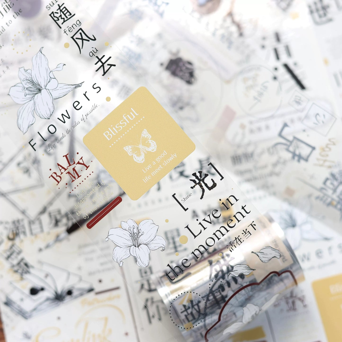 XiaoBaiJia July【Gentle Human Nature】Light Retro Chinese English Text Washi PET Tape