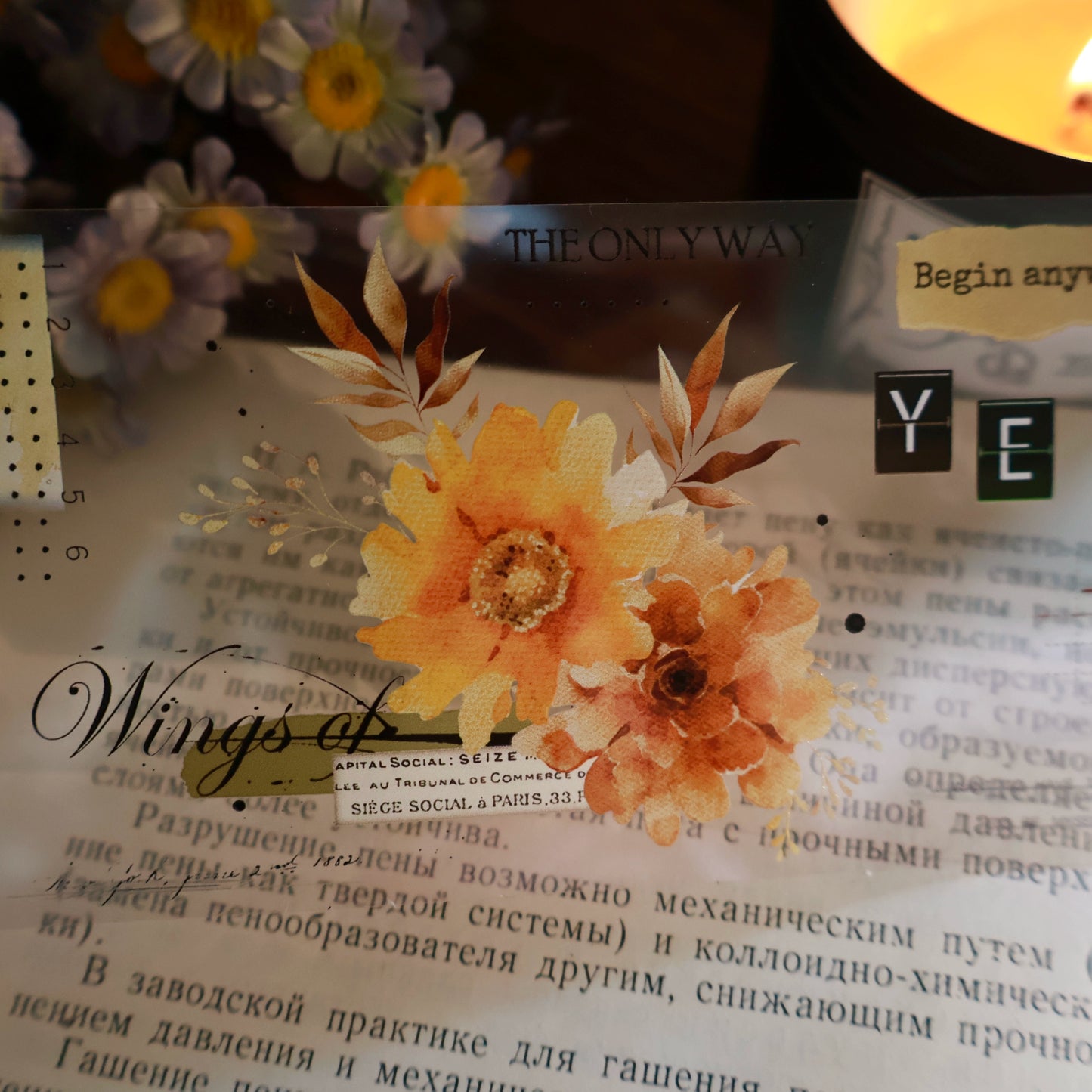 YiEr Vol13【Sunflower】Orginal Design Washi/Pet Floral Tape Light Retro Landscaping Stickers