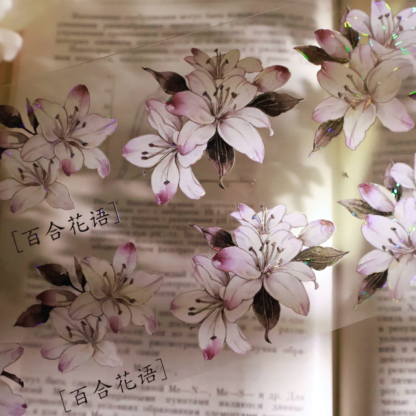 YiEr Vol13【Lily Language】Orginal Design Washi/Pet Floral Tape Light Retro Landscaping Stickers