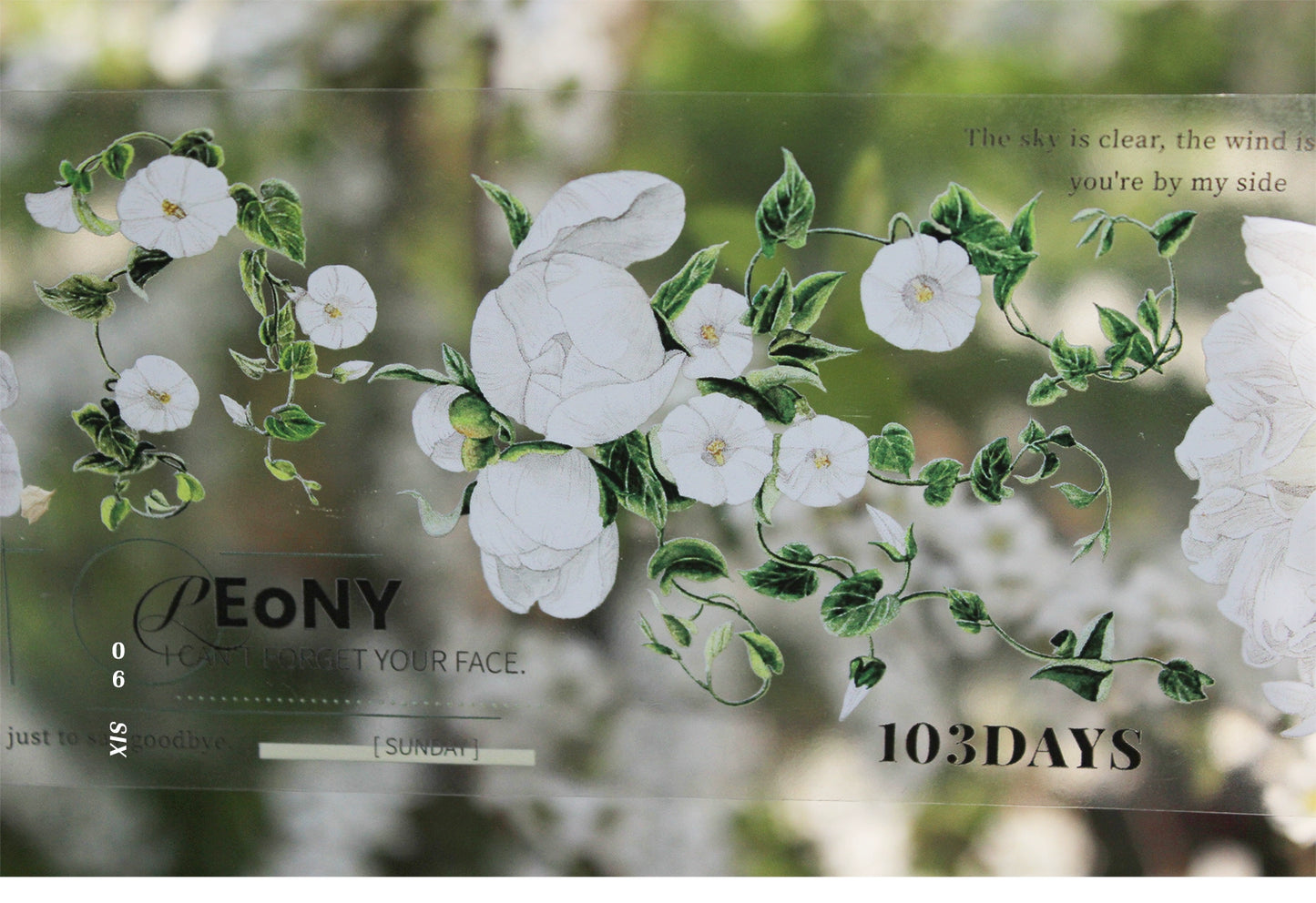 Moodtape【Tea White Camellia】Flower Landscap Original Design Washi/Pet Tape Stickers,for Scrapbook Supplies,Scrapbook Tape Stickers,Junk Journal Supplies