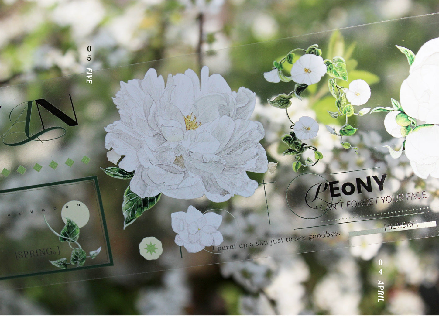Moodtape【Tea White Camellia】Flower Landscap Original Design Washi/Pet Tape Stickers,for Scrapbook Supplies,Scrapbook Tape Stickers,Junk Journal Supplies