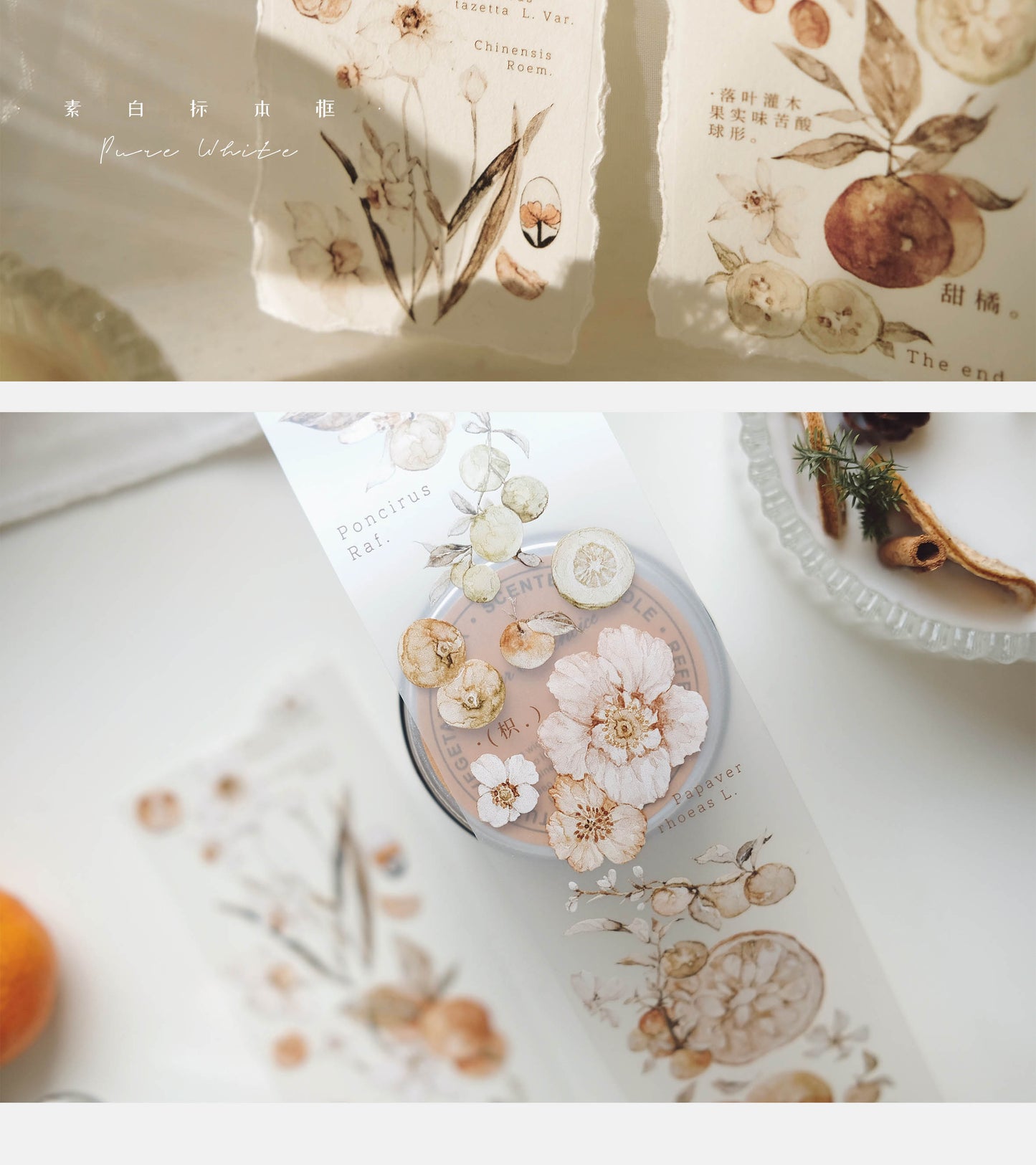 QueBanCha Vol3【Citrus Aurantium】Orginal Design Washi/Pet Tape Light Retro Landscaping Stickers,for Scrapbook Supplies,Scrapbook Tape Stickers,Junk Journal Supplies
