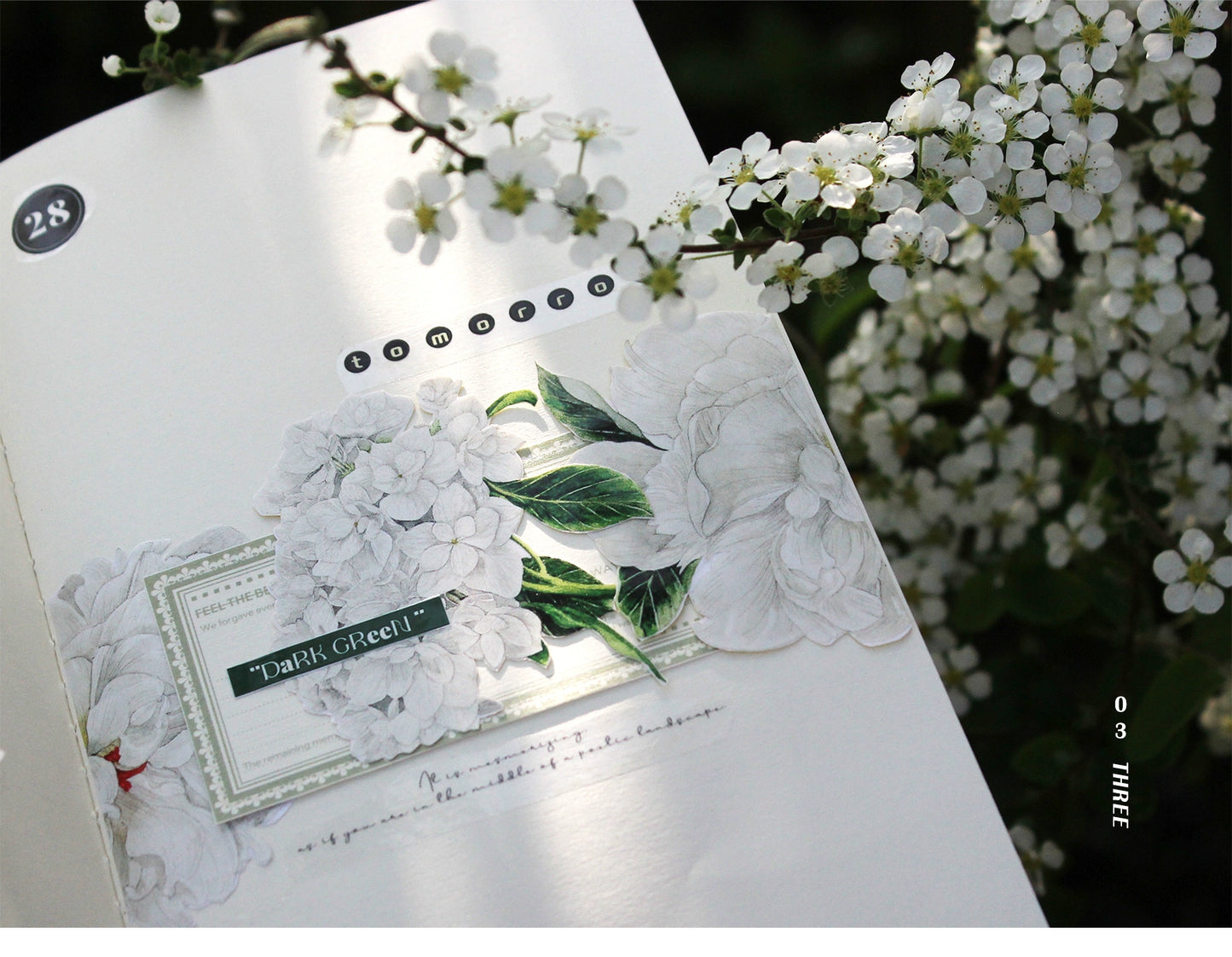 Moodtape【Tea White Camellia】Flower Landscap Original Design Washi/Pet Tape Stickers,for Scrapbook Supplies,Scrapbook Tape Stickers,Junk Journal Supplies