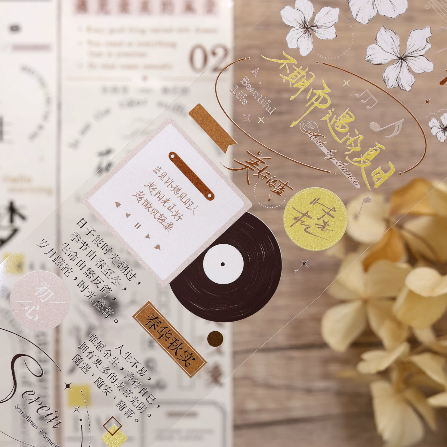 XiaoBaiJia March【Time Flies By】Light Retro Chinese English Text Lettering Washi PET Tape