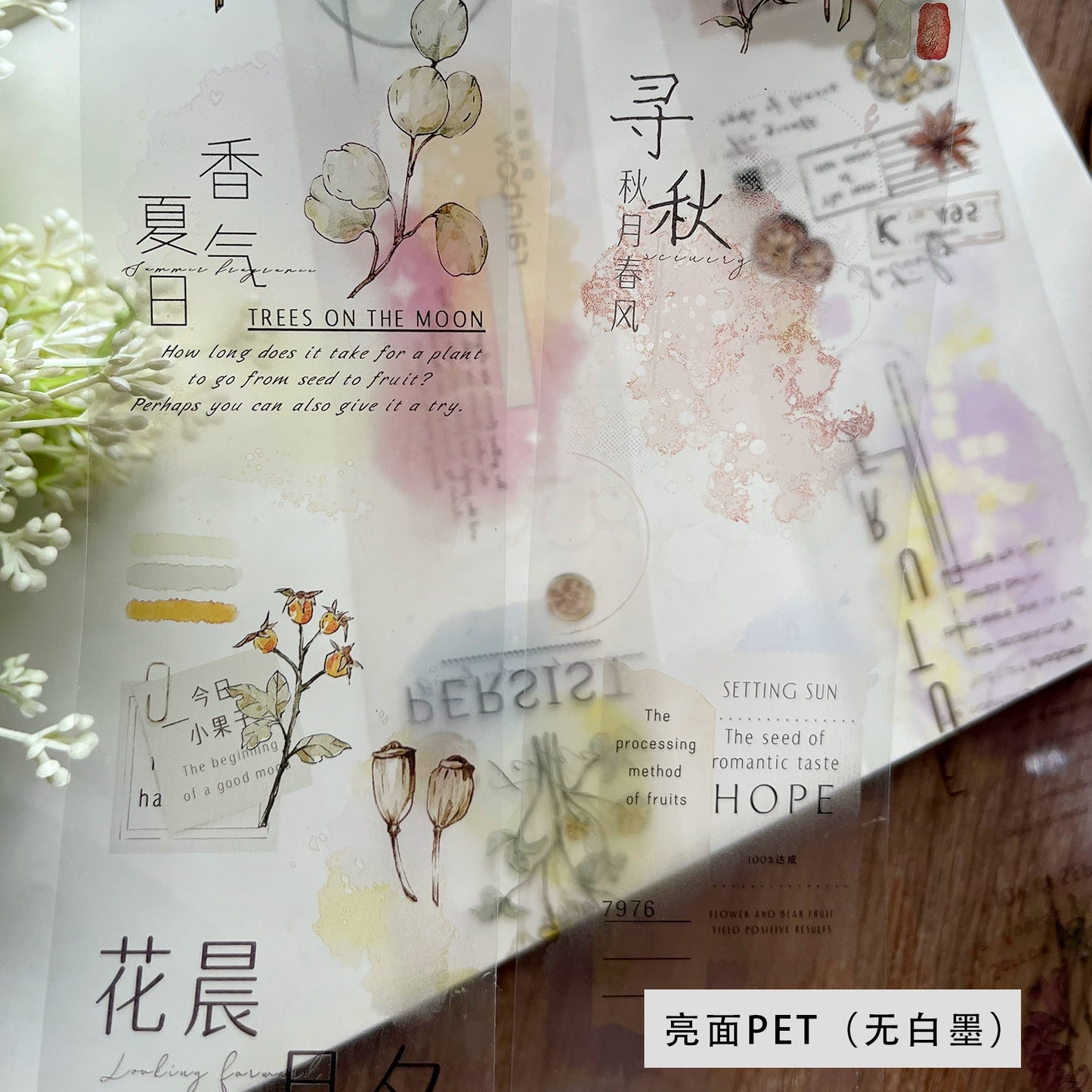 ZiYuanSu【Autumn Like A Dream】English Text Pre-cut Washi/PET Tape,for Scrapbook Supplies,Scrapbook Tape Stickers,Junk Journal Supplies