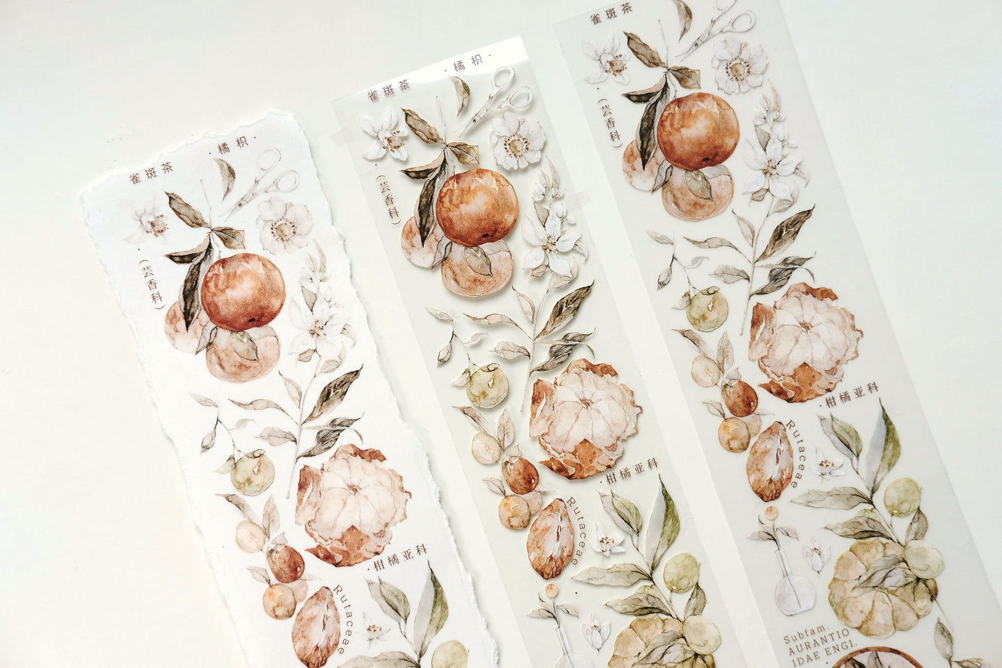 QueBanCha Vol3【Citrus Aurantium】Orginal Design Washi/Pet Tape Light Retro Landscaping Stickers,for Scrapbook Supplies,Scrapbook Tape Stickers,Junk Journal Supplies