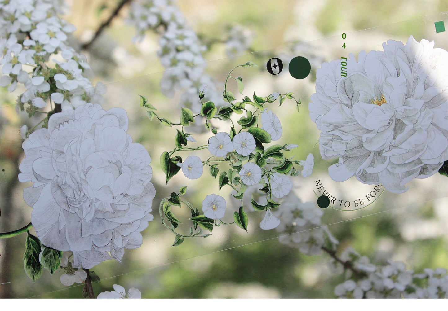 Moodtape【Tea White Camellia】Flower Landscap Original Design Washi/Pet Tape Stickers,for Scrapbook Supplies,Scrapbook Tape Stickers,Junk Journal Supplies