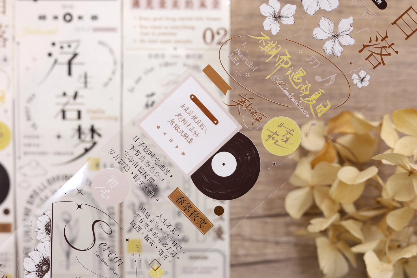 XiaoBaiJia March【Time Flies By】Light Retro Chinese English Text Lettering Washi PET Tape