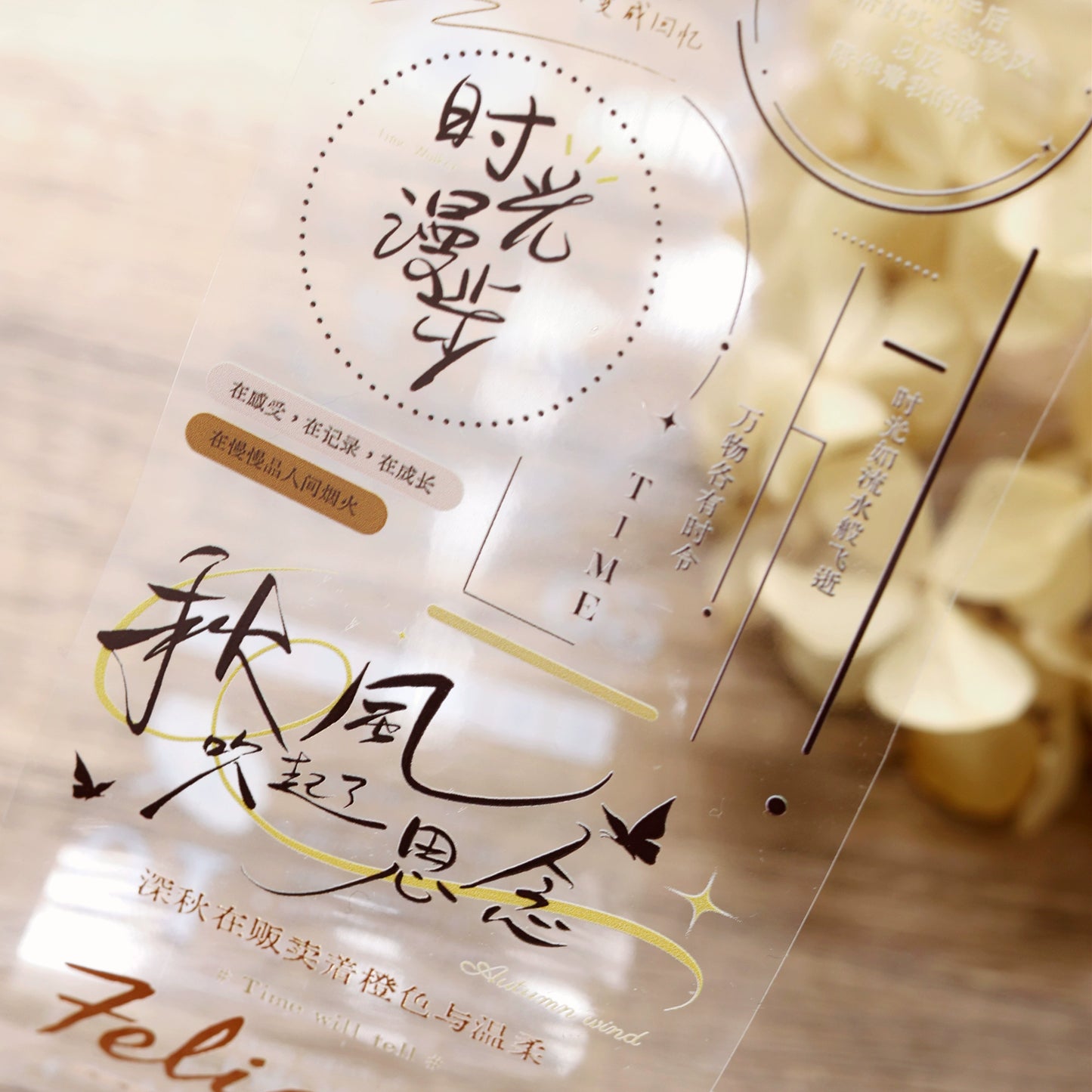 XiaoBaiJia March【Time Flies By】Light Retro Chinese English Text Lettering Washi PET Tape