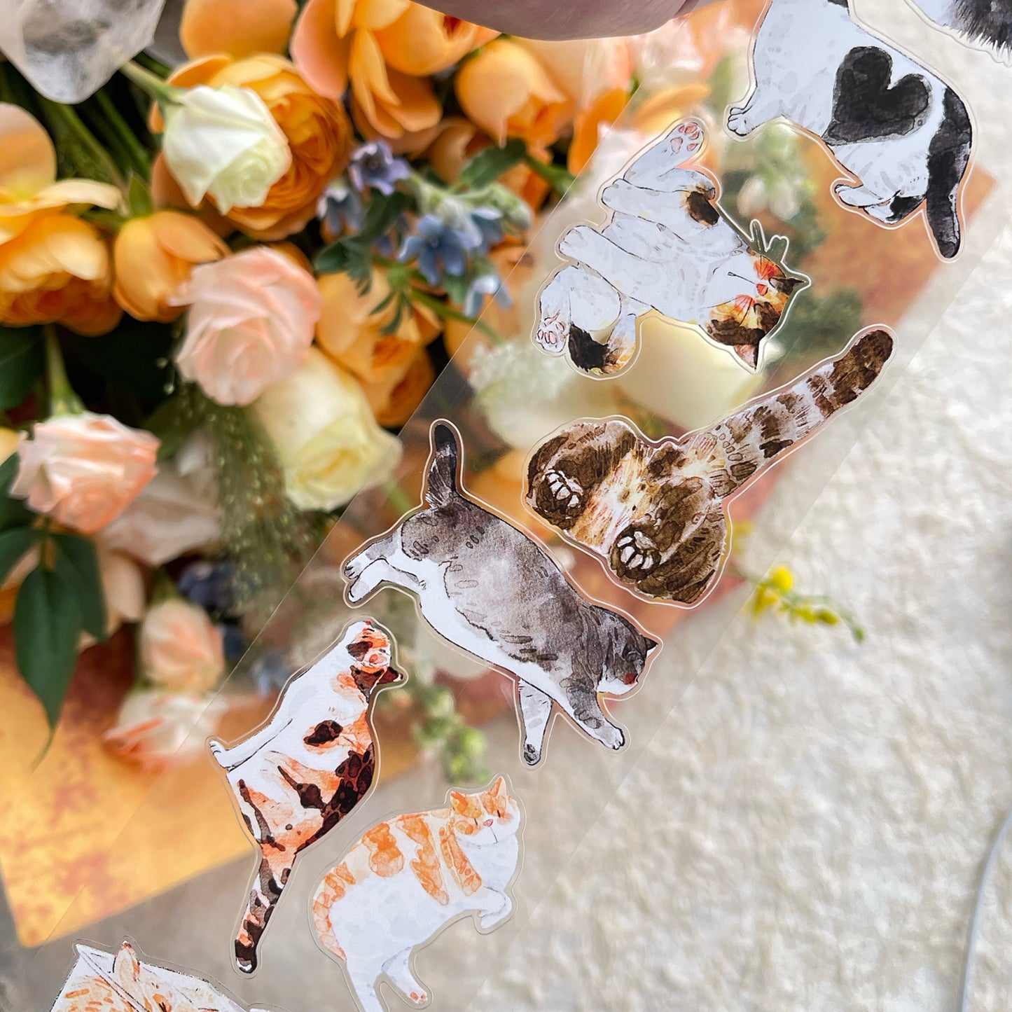 DingDing Vol14【54#Here's a Cat】Original Design Kiss-Cut Washi PET Tape Stickers,for Scrapbook Supplies,Journaling,Junk Journal,Bullet Journal,Planner Stickers