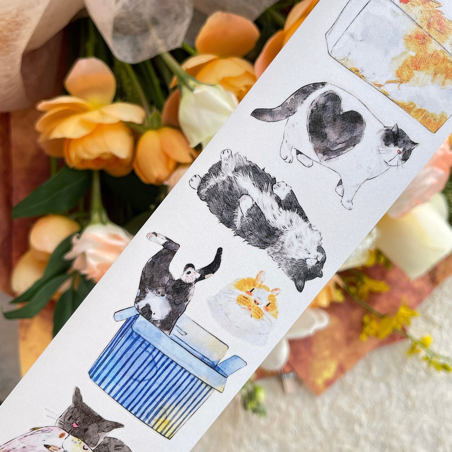 DingDing Vol14【54#Here's a Cat】Original Design Kiss-Cut Washi PET Tape Stickers,for Scrapbook Supplies,Journaling,Junk Journal,Bullet Journal,Planner Stickers