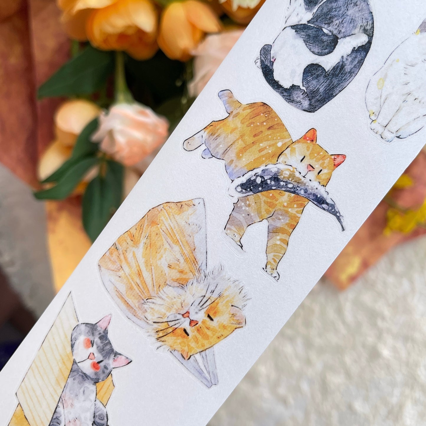 DingDing Vol14【54#Here's a Cat】Original Design Kiss-Cut Washi PET Tape Stickers,for Scrapbook Supplies,Journaling,Junk Journal,Bullet Journal,Planner Stickers