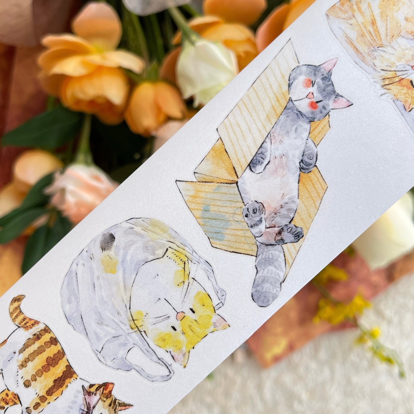 DingDing Vol14【54#Here's a Cat】Original Design Kiss-Cut Washi PET Tape Stickers,for Scrapbook Supplies,Journaling,Junk Journal,Bullet Journal,Planner Stickers