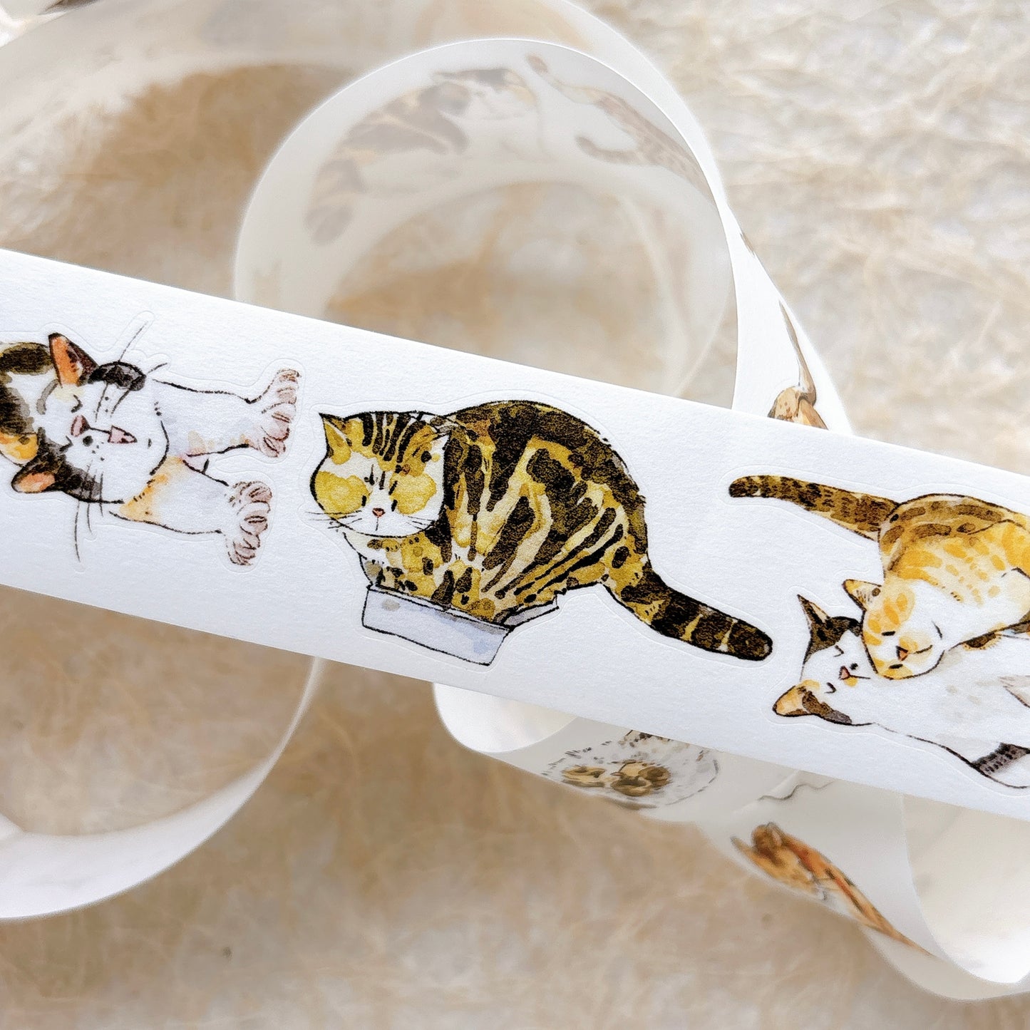 Seahorse Forest Vol11【A62#Mimi】Vintage Cat Original Design Pre-Cut Washi/PET Tape Stickers,for Scrapbook Supplies,Junk Journal Supplies