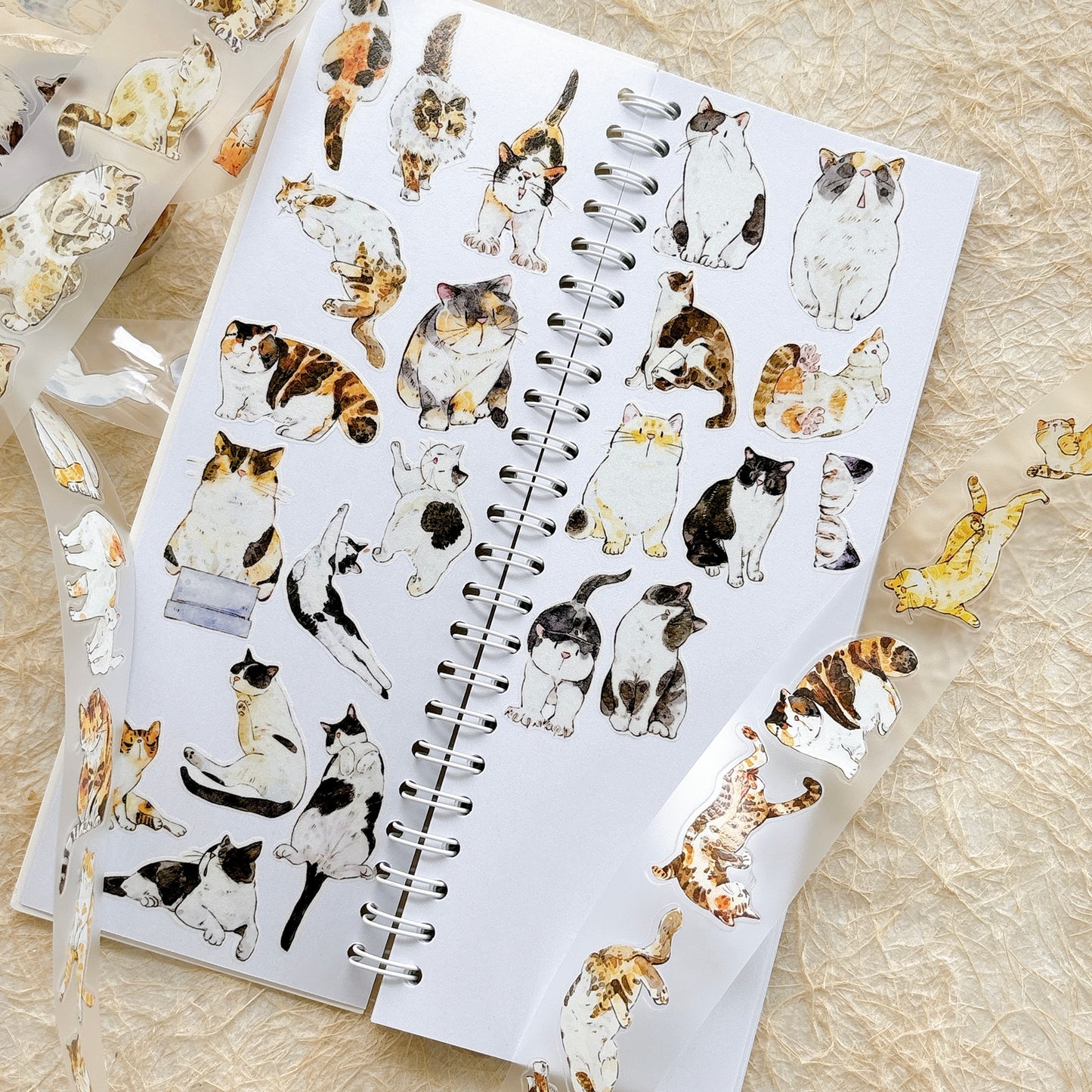 Seahorse Forest Vol11【A62#Mimi】Vintage Cat Original Design Pre-Cut Washi/PET Tape Stickers,for Scrapbook Supplies,Junk Journal Supplies