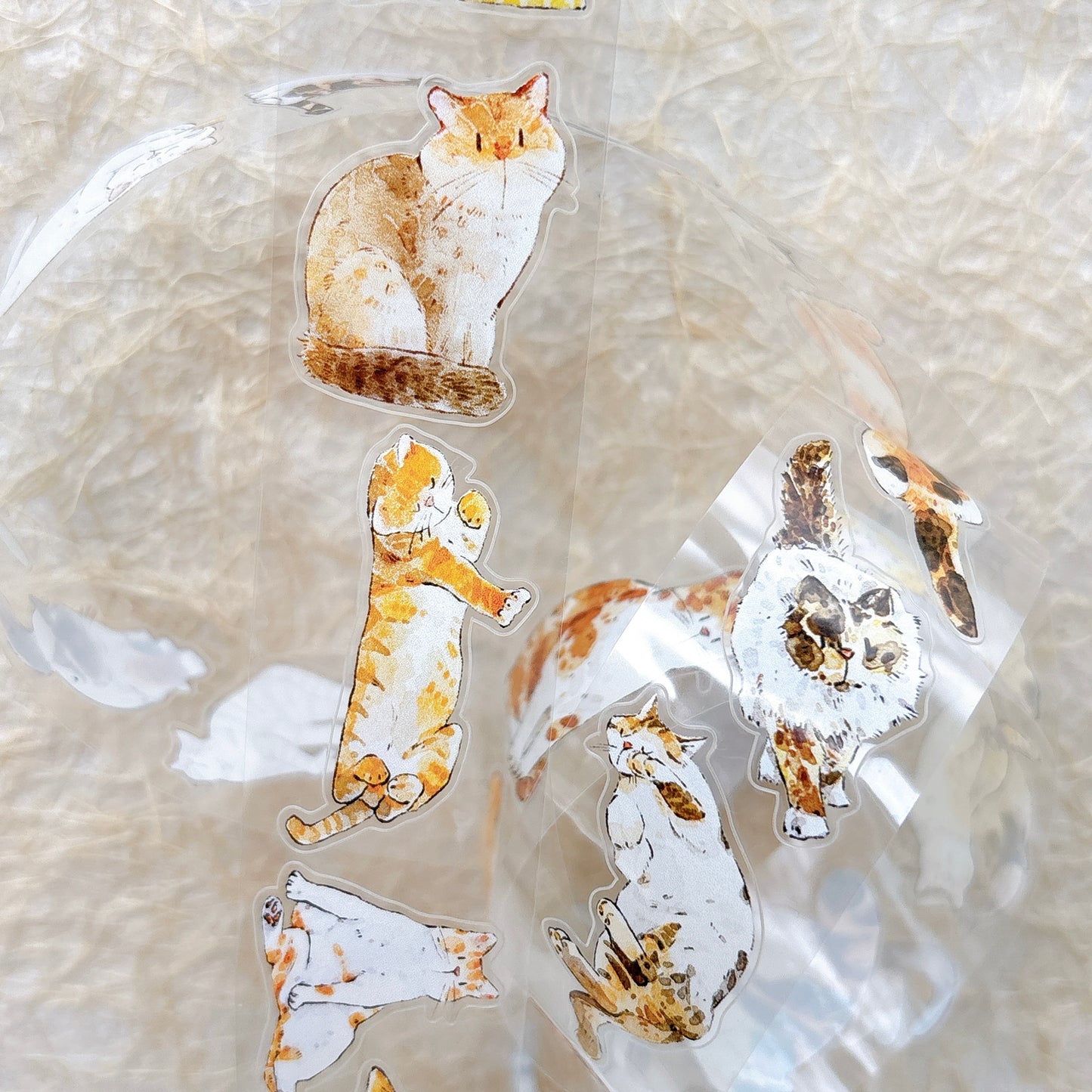 Seahorse Forest Vol11【A62#Mimi】Vintage Cat Original Design Pre-Cut Washi/PET Tape Stickers,for Scrapbook Supplies,Junk Journal Supplies
