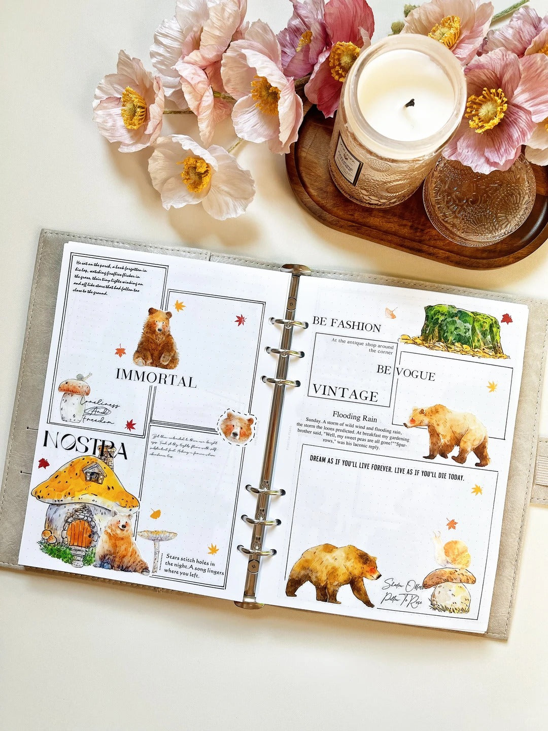Seahorse Forest Washi Tape Set-2 Rolls(A48+N02) Washi/PET Tape Stickers,Original Designs,Fashion Characters Figures for Scrapbooks Supplies,Journaling,Junk Journal,Bullet Journals,Planners
