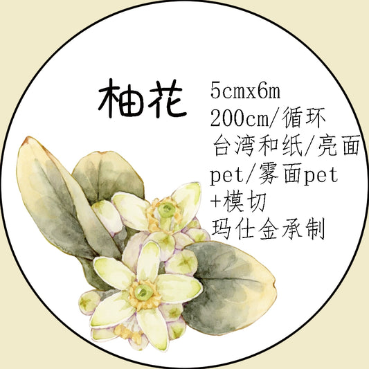Xiangxiang Vol5【Pomelo Flower】Light Retro Character Scenery Orginal Design Washi Pet Tape Landscaping Stickers