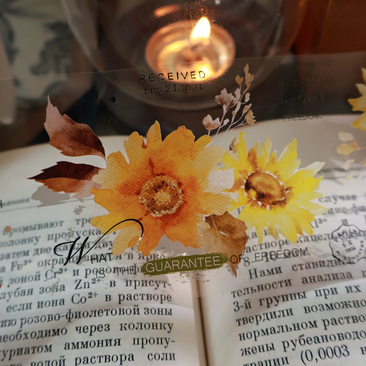 YiEr Vol13【Sunflower】Orginal Design Washi/Pet Floral Tape Light Retro Landscaping Stickers