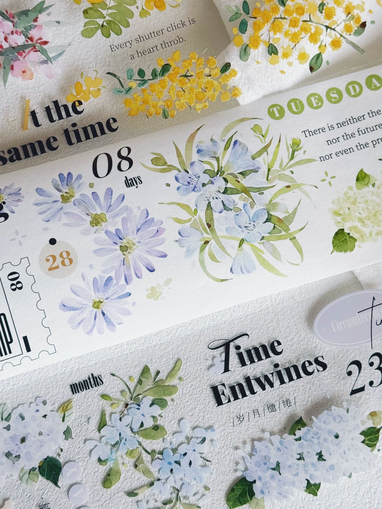 XiYue【Spring Day】Original Design Washi/PET Tape Stickers
