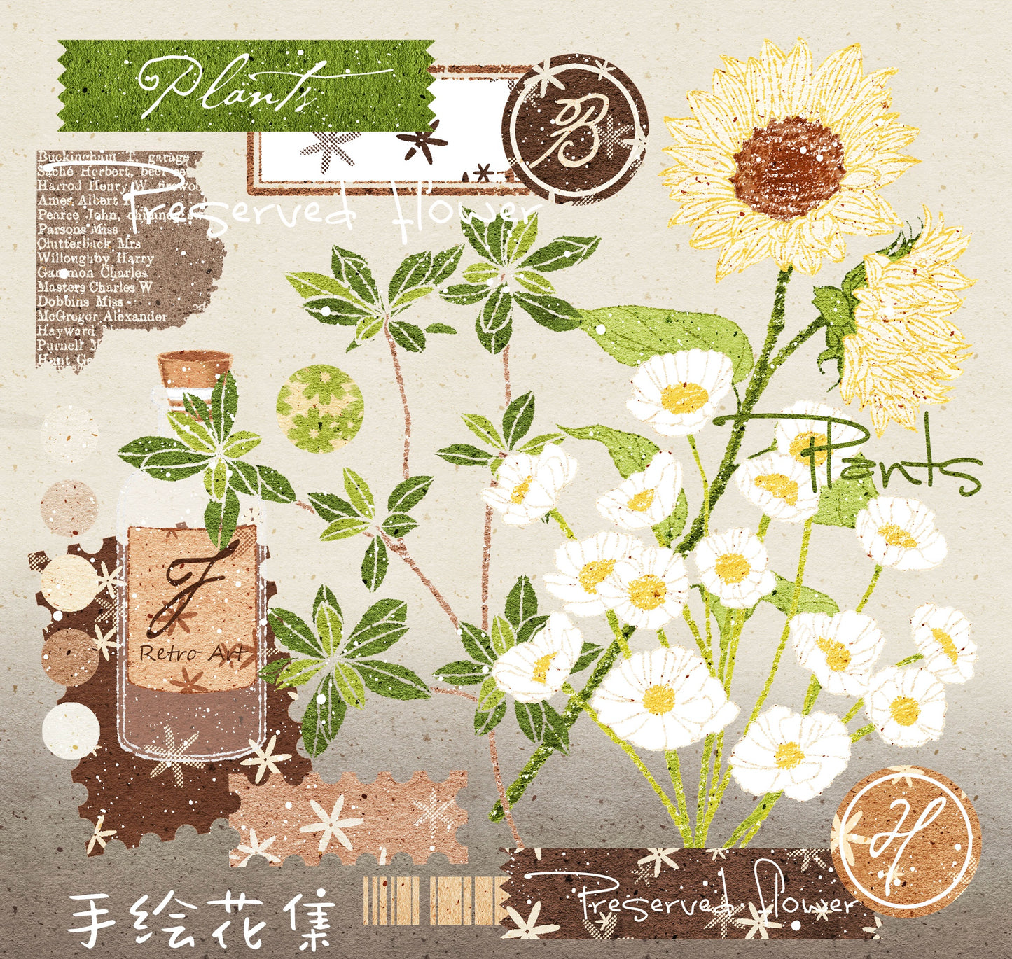 Linlanxi【Hand drawn Flower Collection】 Original New Product Light Retro Bouquet Washi/Pet Tape Long Loop Whole Roll