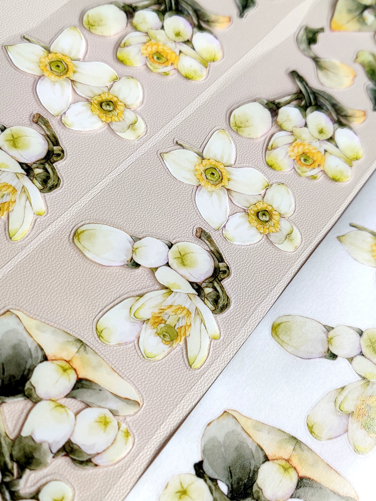 Xiangxiang Vol5【Pomelo Flower】Light Retro Character Scenery Orginal Design Washi Pet Tape Landscaping Stickers