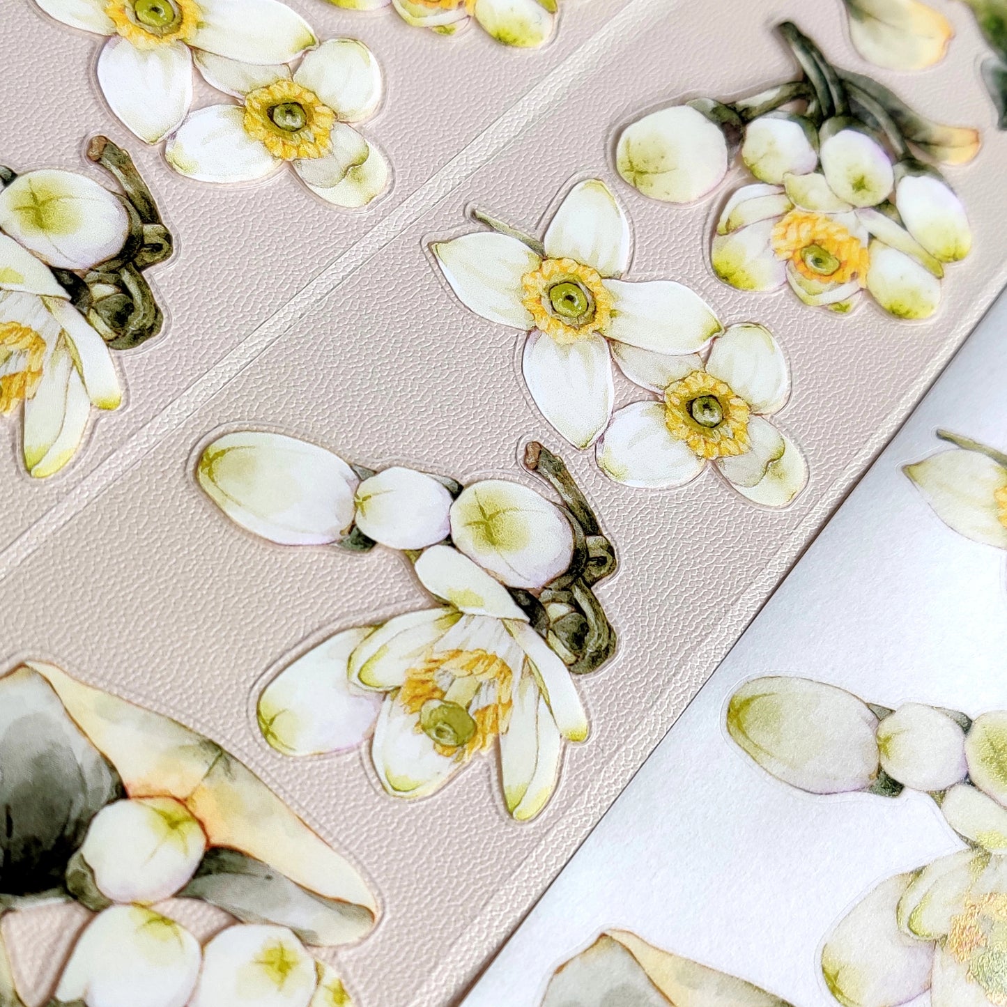 Xiangxiang Vol5【Pomelo Flower】Light Retro Character Scenery Orginal Design Washi Pet Tape Landscaping Stickers