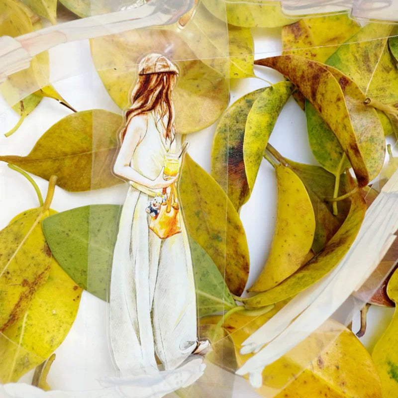 ZaoZao Vol3【Gardenia】Original Design Kiss-Cut Washi PET Tape Stickers,for Scrapbook Supplies,Journaling,Junk Journal,Bullet Journal,Planner Stickers