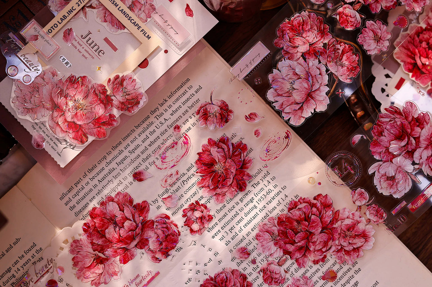 XiaoBaiJia Salt Series【Peony】Orginal Design Kiss-cut Washi/Pet Floral Tape Light Retro Landscaping Stickers