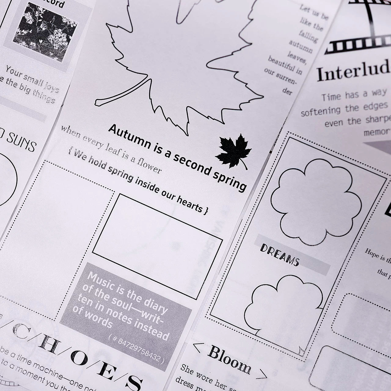 XiaoBaiJia Salt Series【Blank Line Frame】Pre-cut Orginal Design Washi/Pet Tape Light Retro Stickers