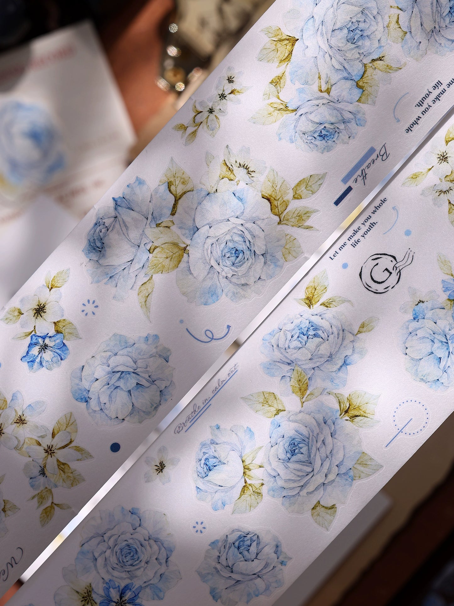 XiaoBaiJia【Jian Shi Blue】Light Retro Orginal Design Washi Pet Tape Landscape Stickers