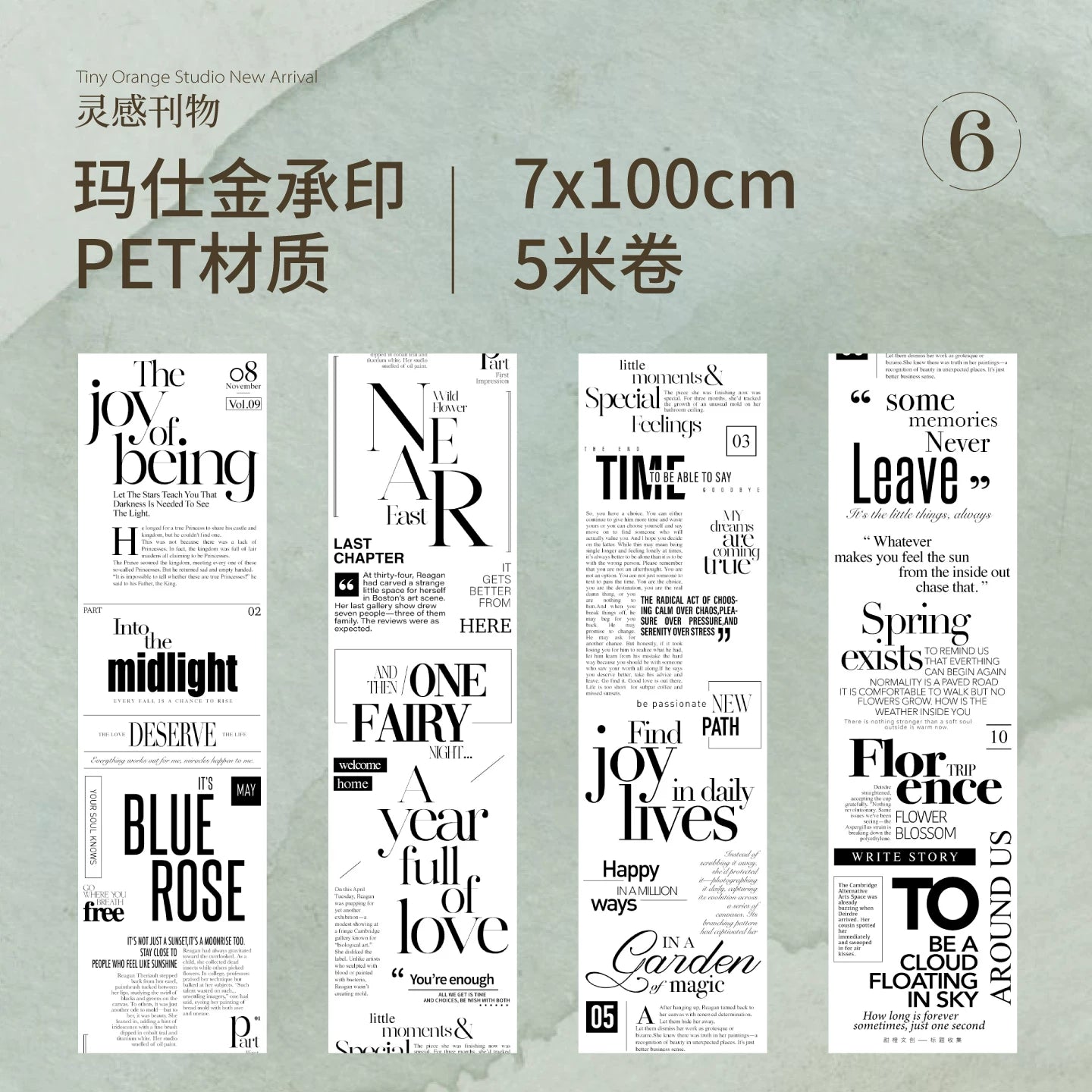 TianCheng-Vol6【Creative Journal】English Text Washi PET Tape,for Scrapbook Supplies,Scrapbook Tape Stickers,Junk Journal Supplies