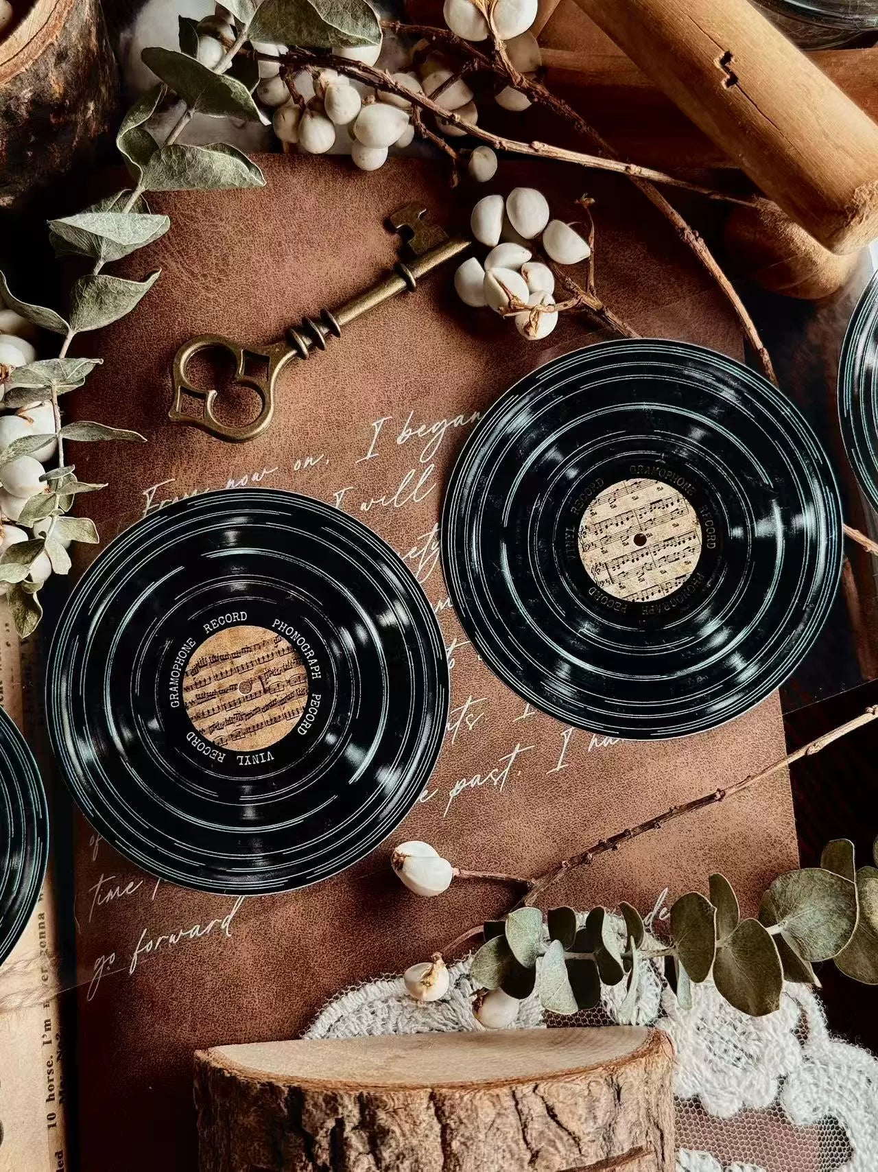Linlanxi【Record 】 Original Retro Vintage Black Vinyl Record Background Washi/Pet Tape