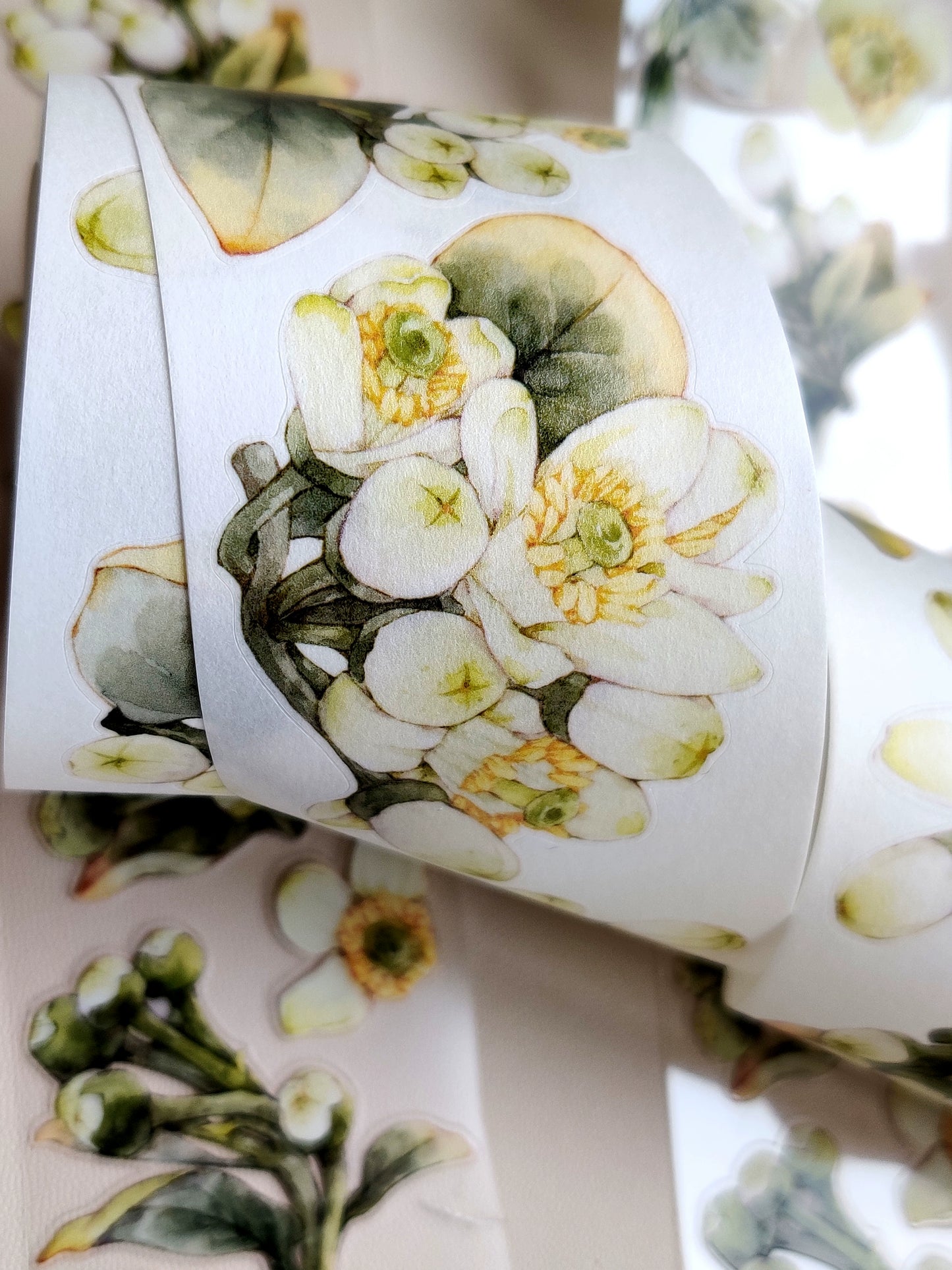 Xiangxiang Vol5【Pomelo Flower】Light Retro Character Scenery Orginal Design Washi Pet Tape Landscaping Stickers