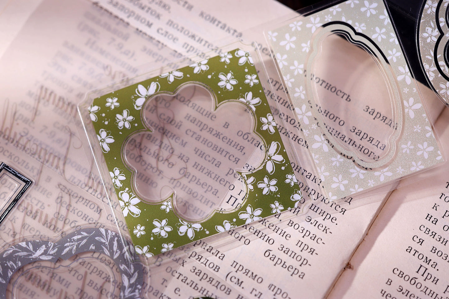 XiaoBaiJia【Flower Frame】Light Retro Orginal Design Washi Pet Tape Landscape Stickers