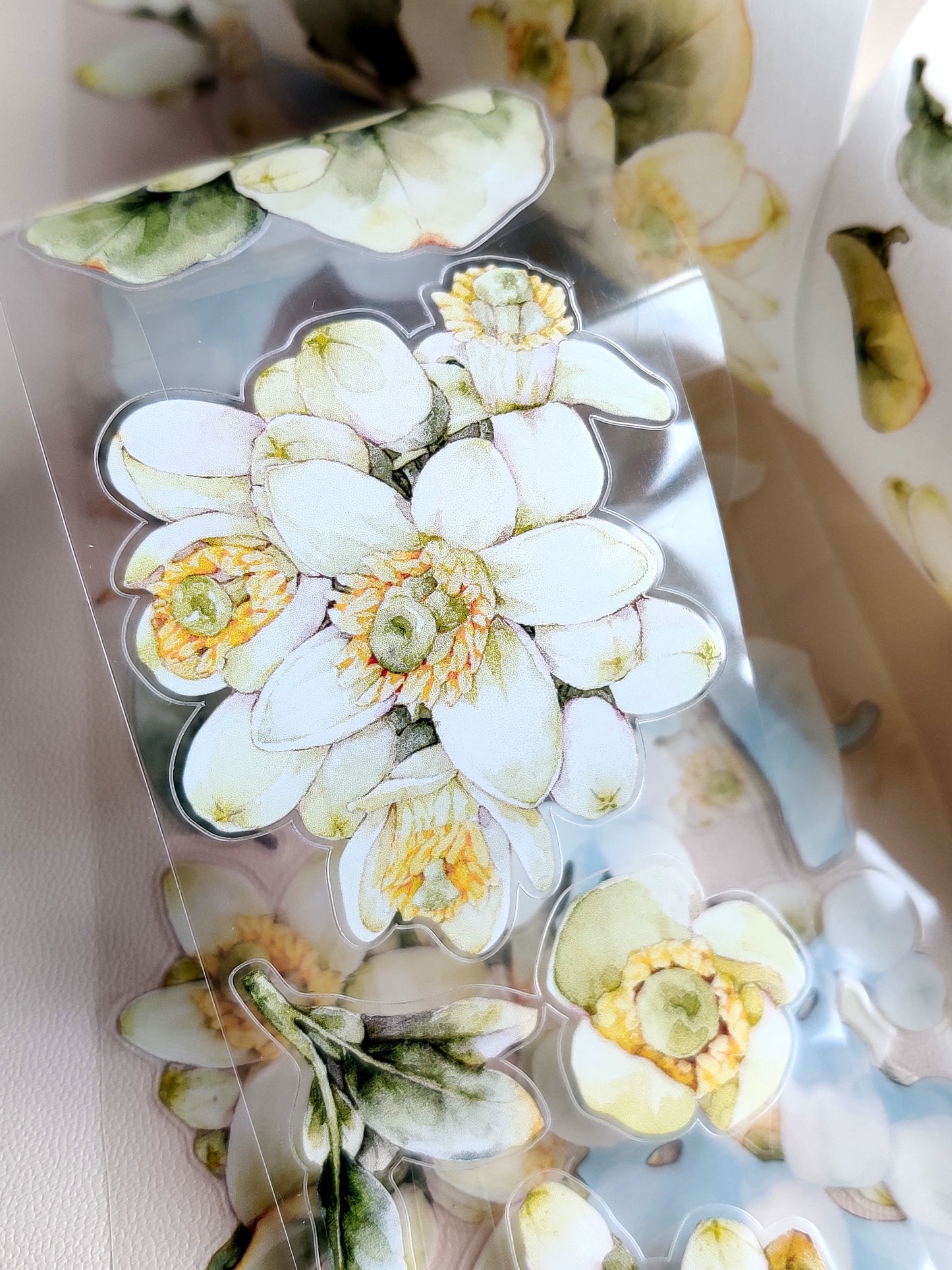 Xiangxiang Vol5【Pomelo Flower】Light Retro Character Scenery Orginal Design Washi Pet Tape Landscaping Stickers