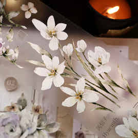 YiEr Vol14【Wind Language Flower Sleep】Small Floral Washi Tape and PET Stickers