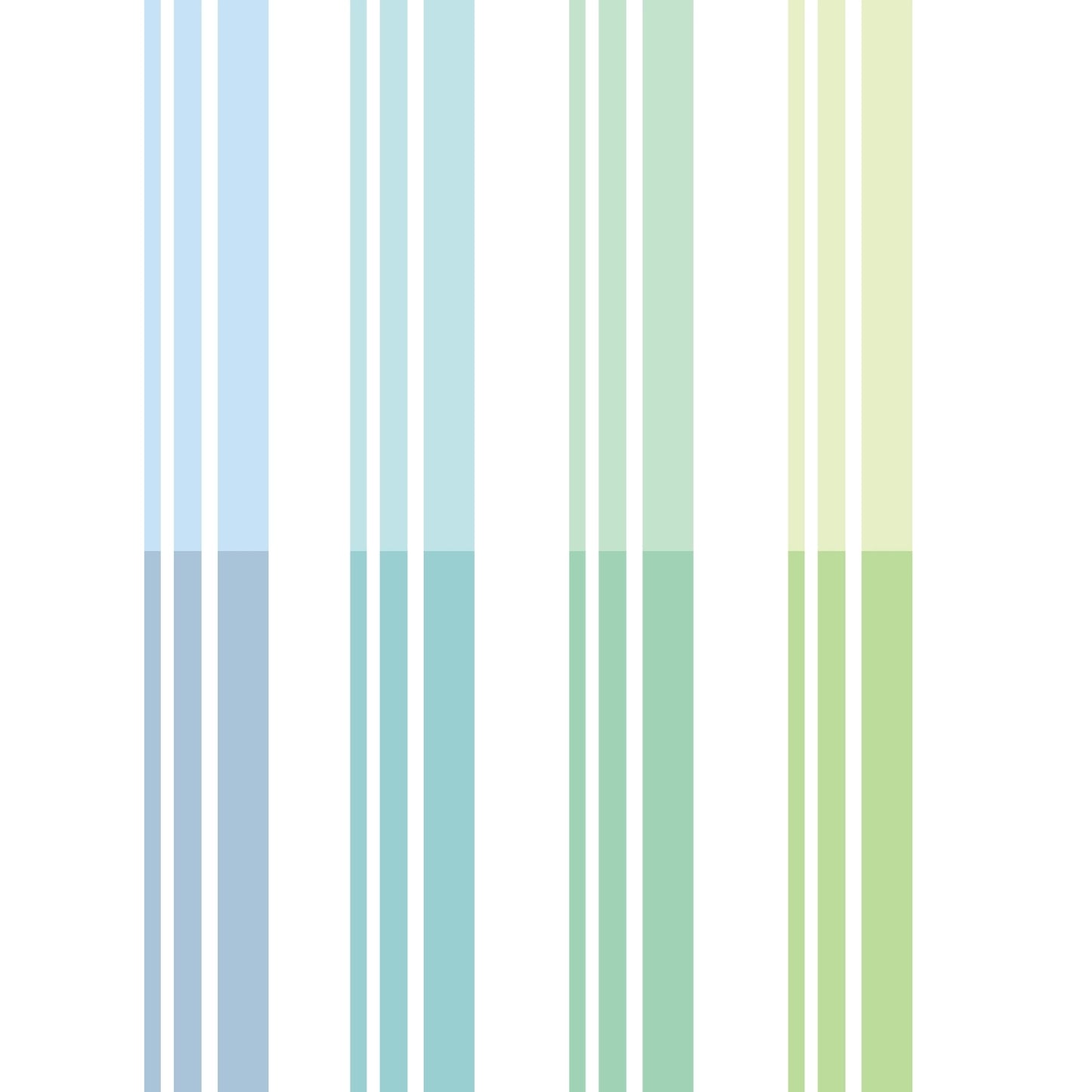 Rita's Little World【Ribbon 2.5cm*5m Set】4-color set of  Washi Paper Tape