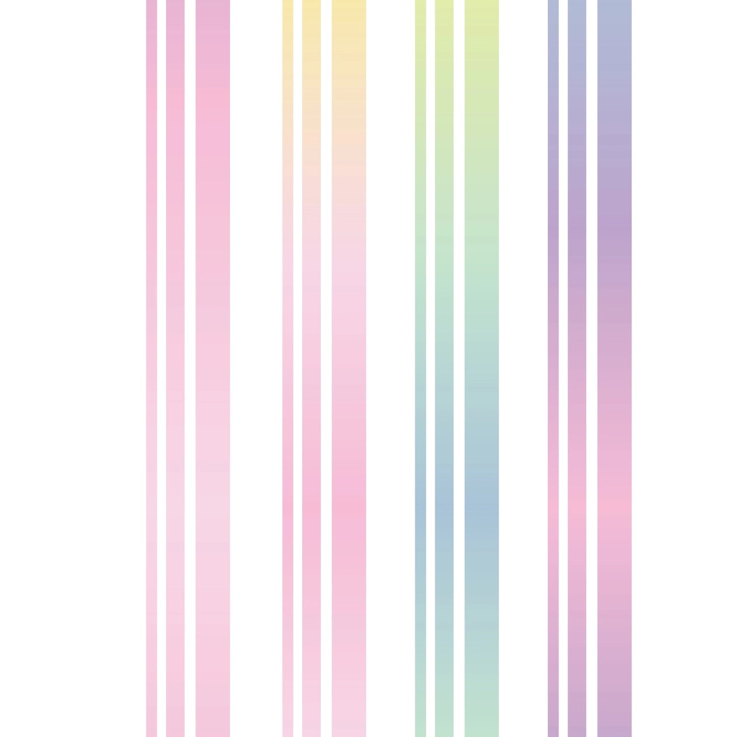 Rita's Little World【Ribbon 2.5cm*5m Set】4-color set of  Washi Paper Tape