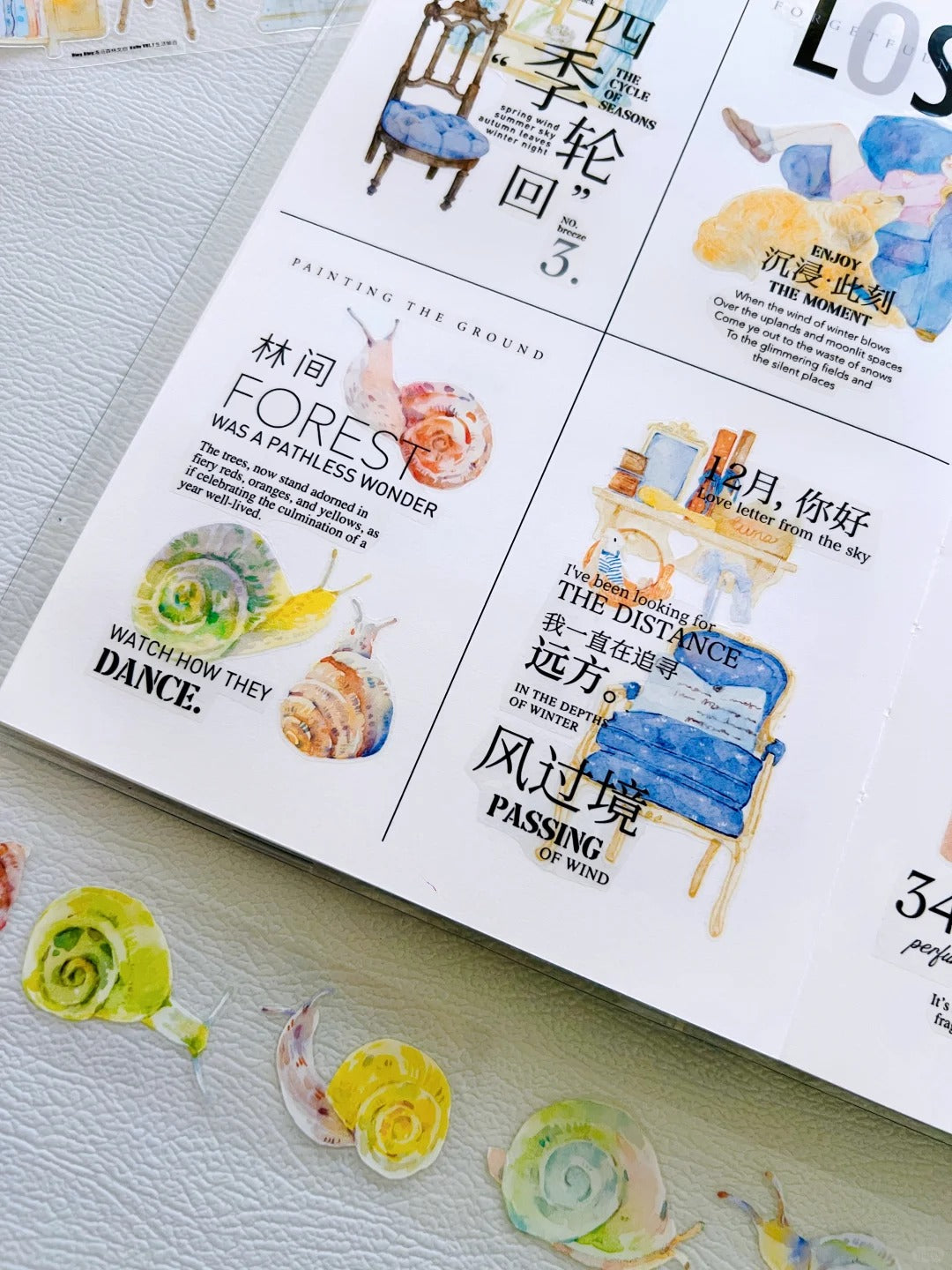 DingDing NuNu Washi Tape Set-2 Rolls(N03+N04) Washi/PET Tape Stickers,Original Designs for Scrapbooks Supplies,Junk Journal,Bullet Journals,Planners